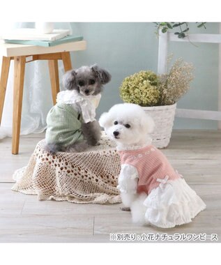 PET PARADISE ペットパラダイス ナチュラル パンツつなぎ 《小花 》 小型犬 グリーン