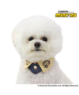  ミニオン ティム 首輪 【ＳＳ】 襟付き 小型犬