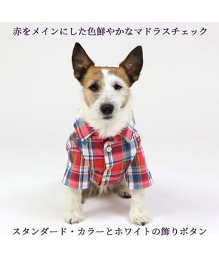 PET PARADISE 犬の服 犬 シャツ J.PRESS 【小型犬】 赤 チェック 赤