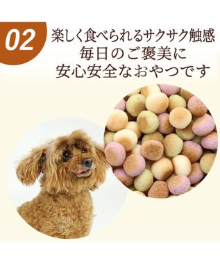 PET PARADISE 野菜ミックス ボーロ 160g  大袋 -