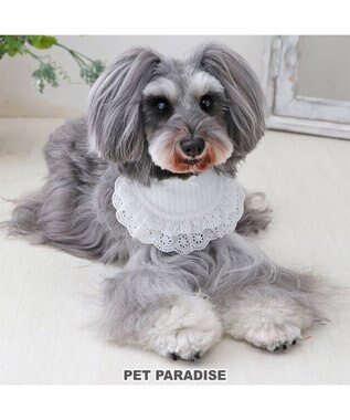 PET PARADISE ペットパラダイス フリルスタイ 小型犬