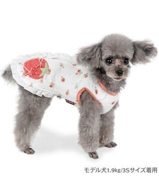 PET PARADISE ペットパラダイス ふわりと キルトベスト 《いちご》 超小型犬 小型犬 ホワイト