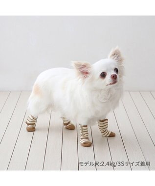 PET PARADISE ペットパラダイス makokoro スリット 靴下 《ボーダー》 ３Ｓ 小型犬 ボーダー