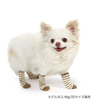PET PARADISE ペットパラダイス makokoro スリット 靴下 《ボーダー》 ３Ｓ 小型犬 ボーダー