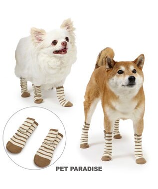 PET PARADISE ペットパラダイス makokoro スリット 靴下 《ボーダー》 ３Ｓ 小型犬 ボーダー