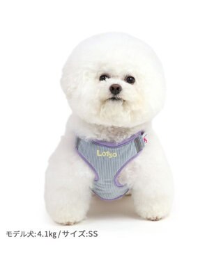 PET PARADISE ディズニー トイ・ストーリー ロッツォ マスコット付き ハーネス ＳＳ 小型犬 -