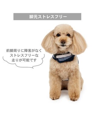 PET PARADISE Lee フード付ハーネス 《ヒッコリー》 Ｓ ネイビー×ホワイト