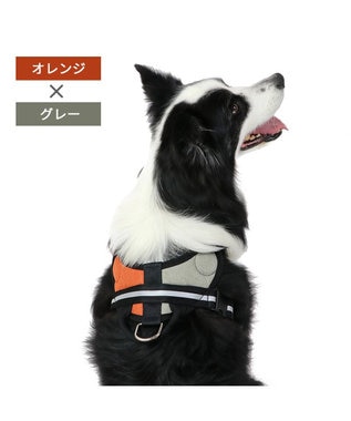  ヘッドインハーネス 【Ｌ】 オレンジ / ブルー  【大型犬】