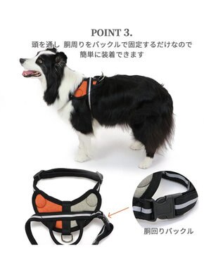 PET PARADISE ヘッドインハーネス 【Ｌ】 オレンジ / ブルー  【大型犬】 オレンジ×グレー