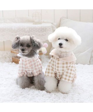 PET PARADISE ペットパラダイス くまちゃん チェックパンツ 小型犬 ベージュ