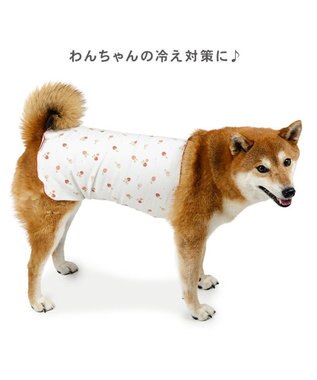 PET PARADISE ペットパラダイス ペティヒート 天竺 腹巻 《いちご柄》 中型犬 ホワイト