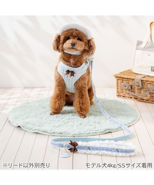 PET PARADISE ディズニー アリス フリルリード ４Ｓ～３Ｓ ブルー