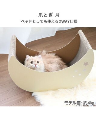 PET PARADISE 猫 爪とぎ ダンボール 単品《月 / 雲》 月