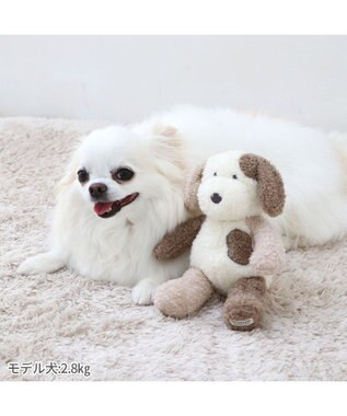 PET PARADISE ペットパラダイス わんさん トイ 小型犬 わんさん