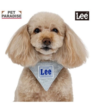PET PARADISE Lee 両面バンダナ 首輪 ３Ｓ