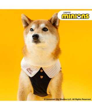 PET PARADISE ミニオン チェック ベスト ハーネス ＳＭ 中型犬