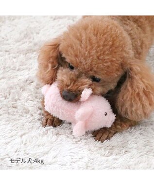 PET PARADISE  ペットパラダイス ふわふわトイ 《うさぎ》 うさぎ