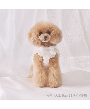 PET PARADISE cherircouture フリフリハーネス 《ホワイト》 小型犬 ＳＳ ホワイト
