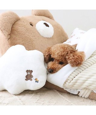 PET PARADISE ペットパラダイス 王冠くまちゃん 折り畳み ベッド ブラウン