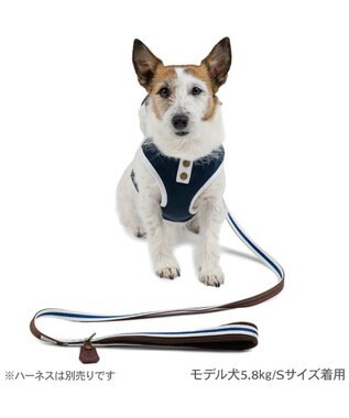 PET PARADISE ペットパラダイス ネイビー ライン入り リード ４Ｓ～３Ｓ 小型犬 ホワイト×ネイビー