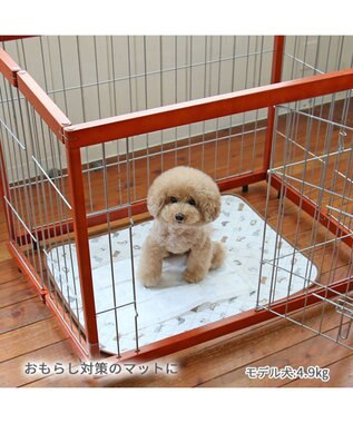 PET PARADISE ペットパラダイス makokoro 吸水マルチマット 《わんちゃん柄》 ホワイト