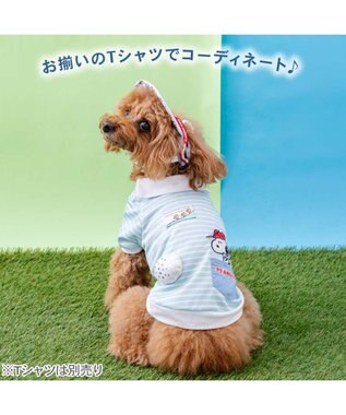 PET PARADISE スヌーピー サンバイザー ４Ｓ～３Ｓ/ＳＳ～Ｓ 小型犬 ホワイト