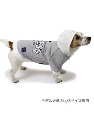 PET PARADISE J.PRESS サガラ ロゴ パーカー 小型犬 グレー