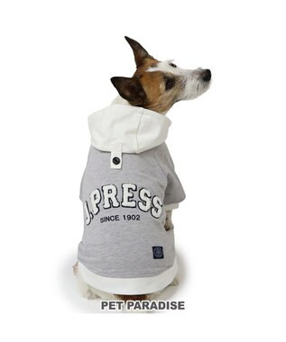  J.PRESS サガラ ロゴ パーカー 小型犬