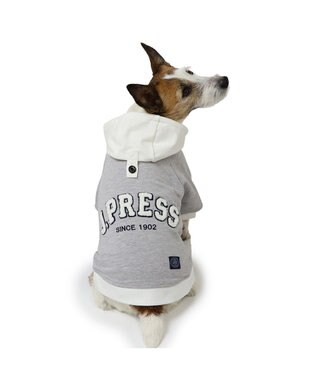 PET PARADISE J.PRESS サガラ ロゴ パーカー 小型犬 グレー