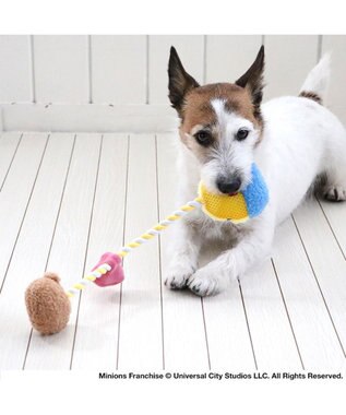 PET PARADISE ミニオン ボブ ティム ロープトイ  小型犬 イエロー