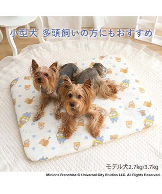 PET PARADISE ミニオン もちっと クール マット Ｍ 《おすわり柄》 ベージュ