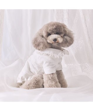 PET PARADISE cherircouture ジャガードコート 小型犬 ホワイト