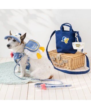 PET PARADISE ディズニー ドナルドダック リード ＳＳ～Ｓ ブルー