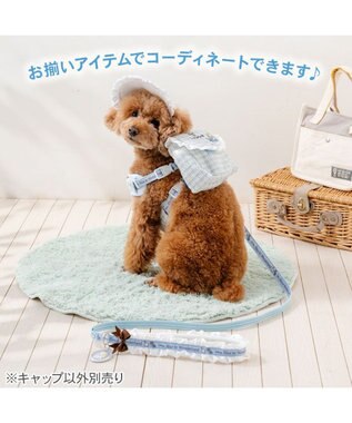 PET PARADISE ディズニー アリス フリル帽子 ４Ｓ～３Ｓ/ＳＳ～Ｓ ライトブルー