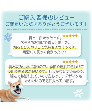 PET PARADISE スヌーピー クール ロールマット 《サーフ柄》 Ｌ ブルー系