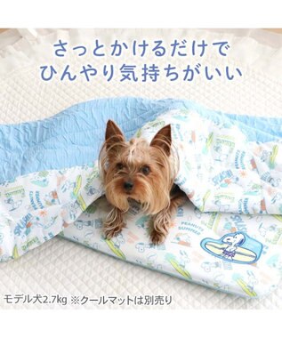 PET PARADISE スヌーピー もちっと クール ブランケット 《サーフ柄》 -