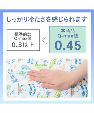 PET PARADISE スヌーピー もちっと クール ブランケット 《サーフ柄》 -