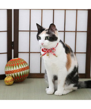 PET PARADISE ペットパラダイス 和むすび 猫首輪  《赤》 小 / 中 赤