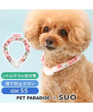  ペットパラダイス 28℃クールリング SUO 《いちご柄》 〔ＳＳ〕 小型犬