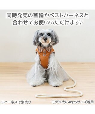 PET PARADISE ペットパラダイス ロープ リード ベージュ　４Ｓ～３Ｓ ベージュ
