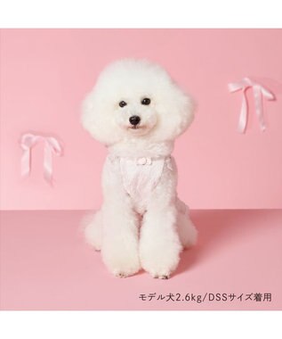 PET PARADISE cherircouture ローズリボン ワンピース 小型犬 ピンク