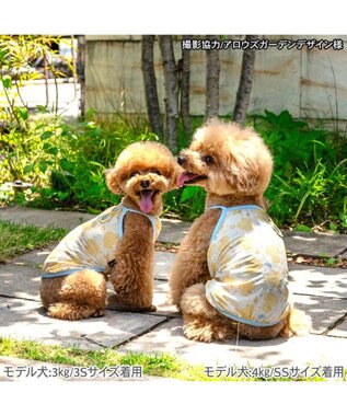 PET PARADISE ペットパラダイス タッチワンクールプラス キャミソール 《あひる》 小型犬 ライトイエロー