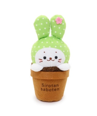 Mother garden しろたん サボテン マスコット 《うちわサボテン》 うちわサボテン