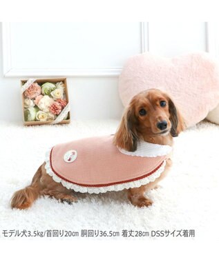 PET PARADISE ペットパラダイス お手軽 ポンチョ 《花苺》 小型犬 ピンク