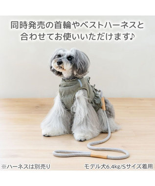 PET PARADISE ペットパラダイス ロープ リード グレー　４Ｓ～３Ｓ グレー