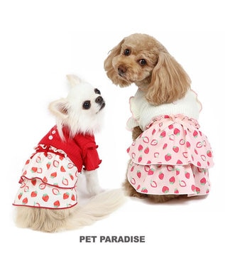  犬の服 犬 ワンピース 【小型犬】 苺柄 リブ ピンク レッド