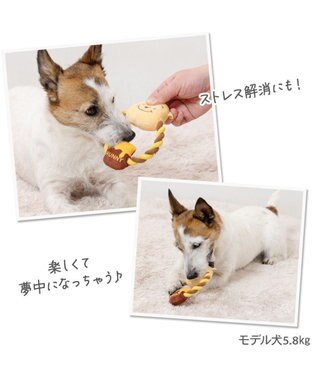 PET PARADISE ディズニー くまのプーさん ロープ トイ《プーさん/ピグレット/ティガー》 プーさん