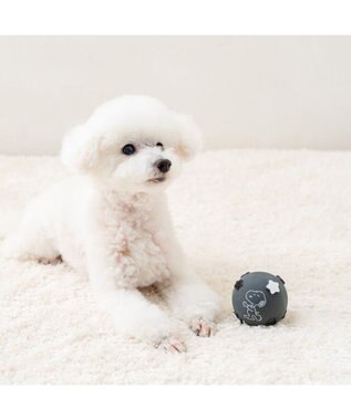 PET PARADISE スヌーピー ラテクスボール 《スヌーピー》 ブラック
