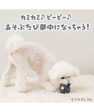 PET PARADISE スヌーピー ラテクスボール 《スヌーピー》 ブラック