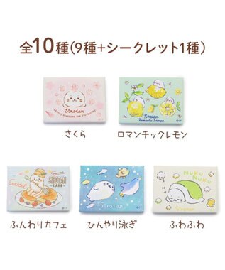 Mother garden しろたん ミニキャンバス コレクション第二弾 10個全部セット（シークレット1種含む） 10個全部セット